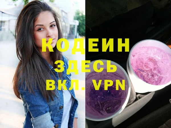 дмт Карпинск