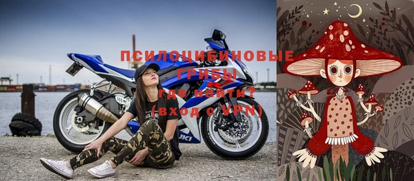 дмт Карпинск