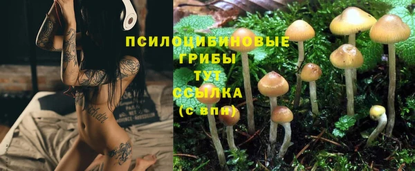 крисы Киренск