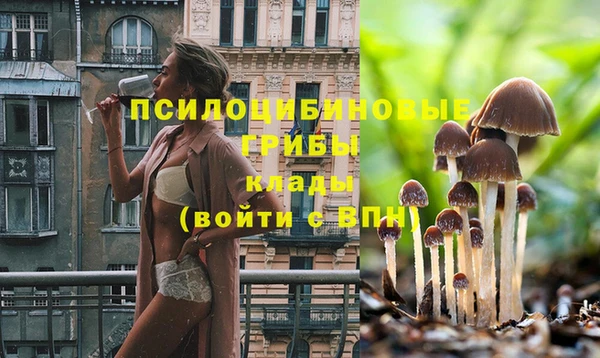 кокаин перу Касимов